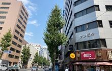 税理士法人Ｆａｃｅ会計