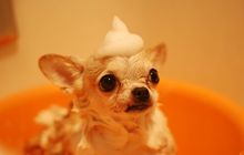 小山会計事務所