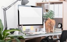 会計事務所ねこのて